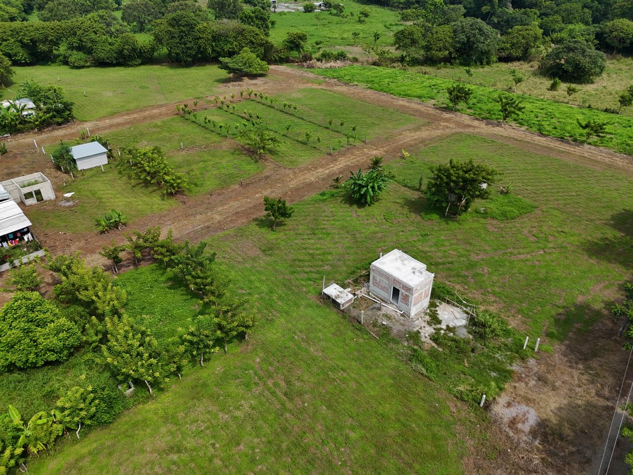Terreno 1